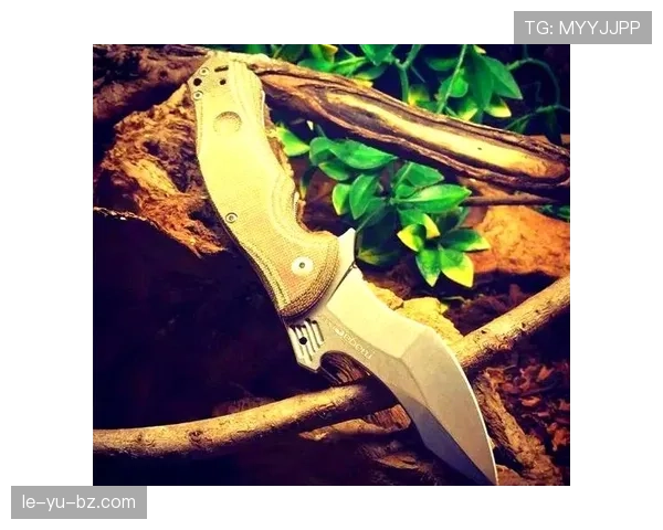 维罗纳中路渗透战术成效显著，攻防平衡持续提升彰显战术价值