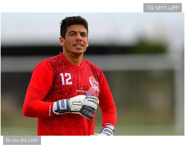 内维斯从青年队队长到成年国家队的成长路径解析 内维斯从青年队队长到成年国家队的成长路径解析