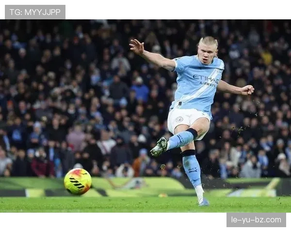 哈兰德挪威国家队进球纪录解析